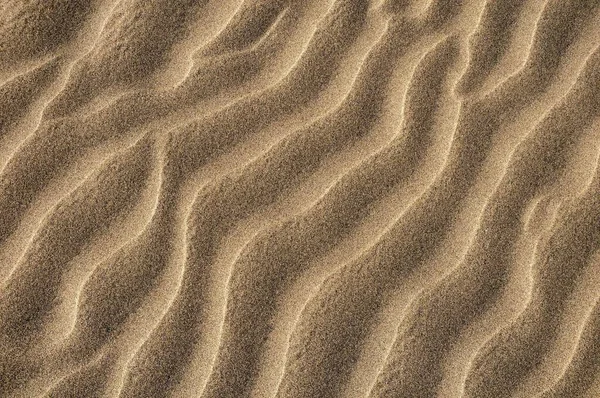 Πλήρη Εικόνα Πλαίσιο Του Αμμώδους Τοπίου Αμμόλοφος Έρημο — Φωτογραφία Αρχείου