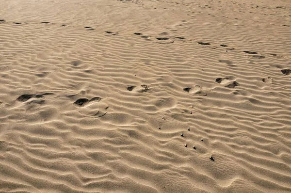 Full Frame Image Sandy Landscape Dune Desert — ストック写真
