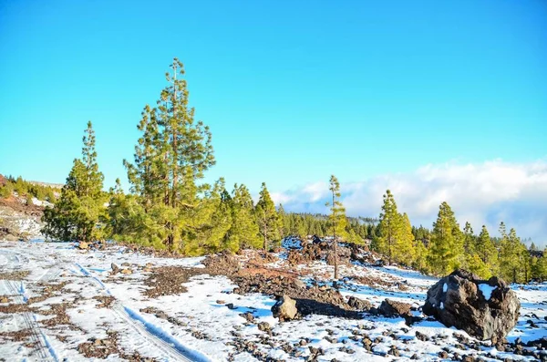 Ein Schöner Blick Auf Die Berge Winter — Stockfoto