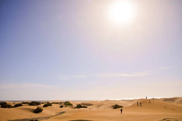 Чудове Сухе Пустельне Пейзаж Маспаломас Гранд Канарії — стокове фото