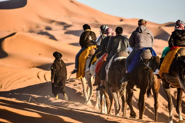 Люди Верблюдів Пустелі — стокове фото