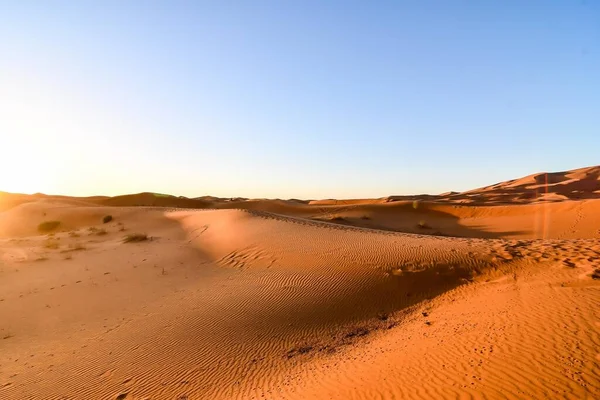 Beautiful View Desert — Stock Photo, Image