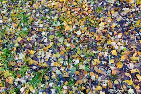 가을철 — 스톡 사진