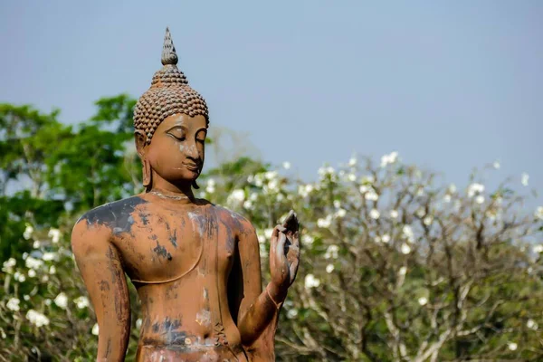 Άγαλμα Του Βούδα Στο Πάρκο Στο Παρασκήνιο — Φωτογραφία Αρχείου