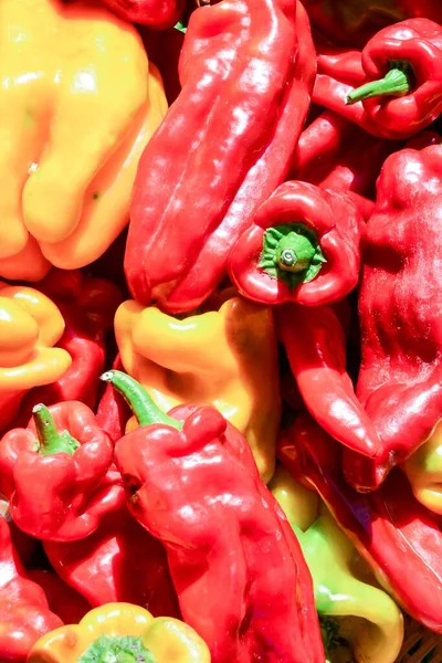 Frisches Gemüse Drei Süße Rot Gelb Grüne Mischung Paprika Hintergrund — Stockfoto