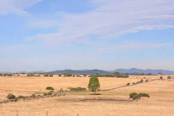 stock image Photo Picture Scenic photography landscape European natural countryside