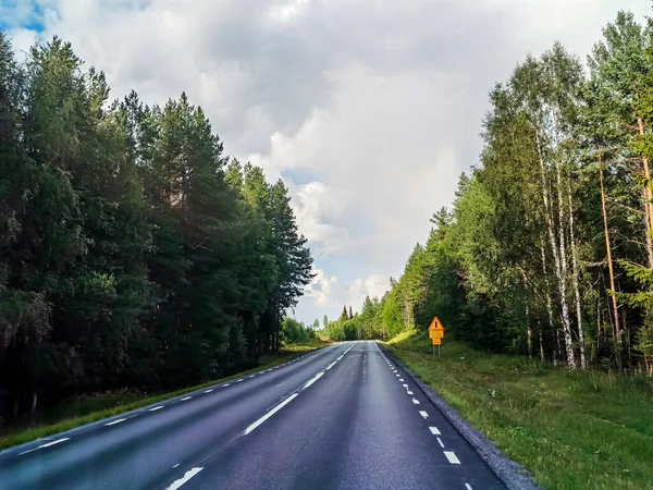 Droga Lesie Zdjęcie Europie — Zdjęcie stockowe