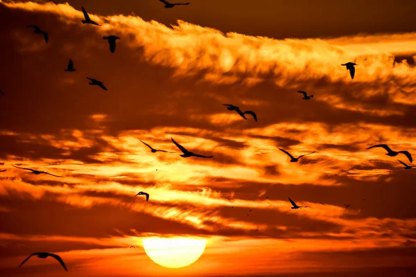 Закат Над Морем Красивая Фотография Цифровая Фотография — стоковое фото