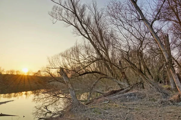 Схід Сонця Над Річкою Цифрове Зображення Картина — стокове фото