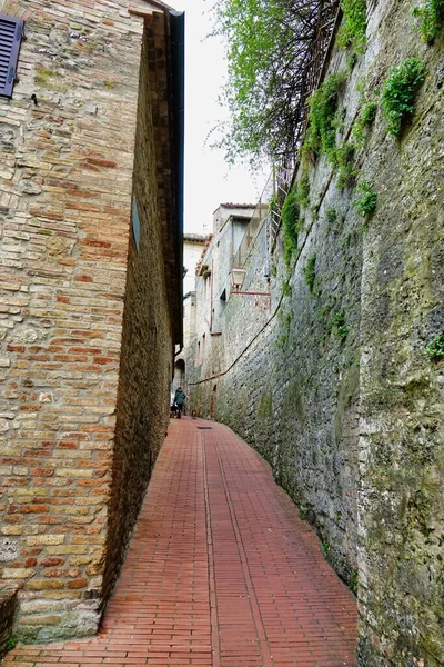 narrow street in the old town , Digital created image Picture