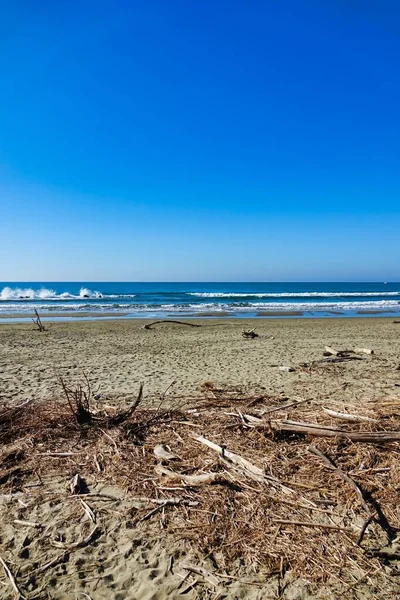 Мертве Морське Узбережжя Цифрове Зображення Зображення — стокове фото