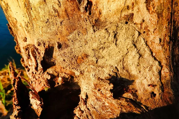 Cueva Cueva —  Fotos de Stock