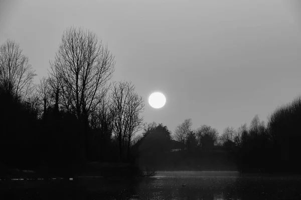 Изображение Луны Дерева Сделанное Европе — стоковое фото