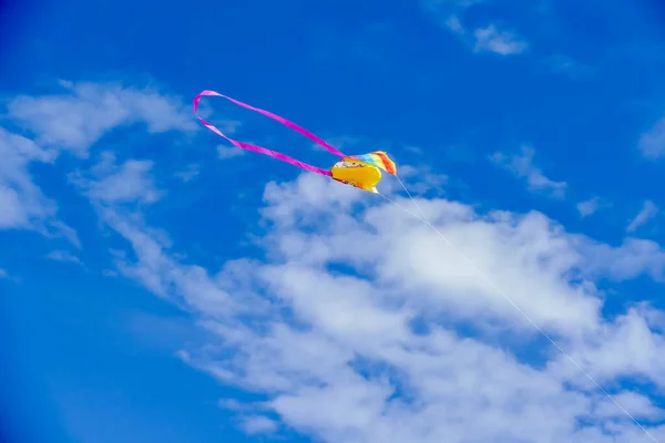 Воздушный Змей Небе Красивая Фотография Цифровая Фотография — стоковое фото