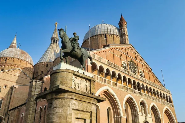 Peters Basilica Santa Maria Del Fiore Fénykép Mint Háttér Digitális Jogdíjmentes Stock Képek