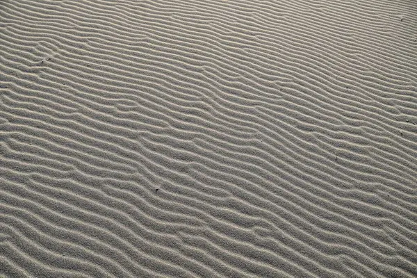 Pohled Písečnou Plážovou Strukturu — Stock fotografie