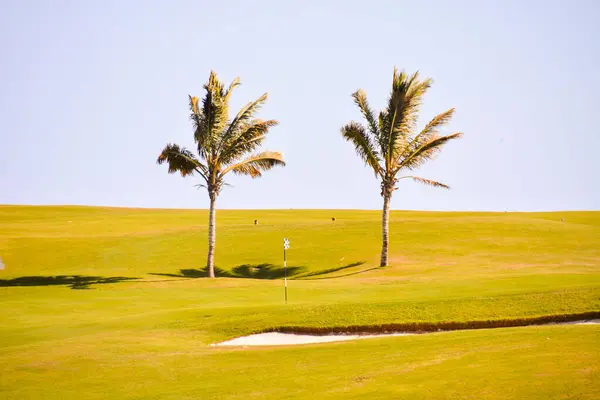 Vista Campo Golfe Com Fundo Azul Céu — Fotografia de Stock