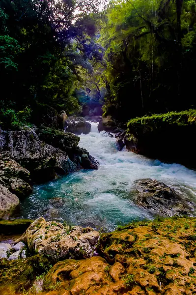 Semuc Champey Lanquin グアテマラ 中央アメリカの風景 ロイヤリティフリーのストック写真