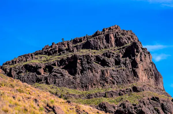 stock image Volcanic Rock Basaltic Formation in Gran Canaria Canary Islands