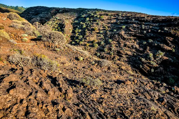 Vulkanische Basaltgesteinsformation Auf Den Kanarischen Inseln lizenzfreie Stockfotos