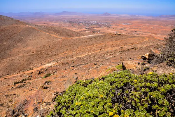 stock image Photo Picture of a Beautiful Dry Desert Landscape