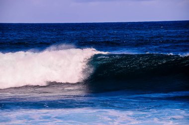 The ocean is calm and blue, with a wave cresting in the distance. The water is still, and the sky is clear clipart