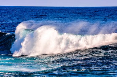 The ocean is calm and blue, with a wave cresting in the distance. The water is still, and the sky is clear and bright clipart