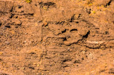 A rocky, brown surface with a few small rocks scattered about. The surface is rough and uneven, with a few small holes and indentations. Scene is somewhat desolate and rugged clipart