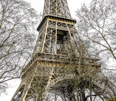 The Eiffel Tower is a beautiful and iconic structure in Paris. The image captures the tower in the midst of a forest, with trees surrounding it. The trees are bare and covered in leaves clipart