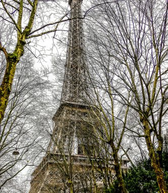 The Eiffel Tower is seen in the distance, with trees in the foreground. The image has a moody and somewhat melancholic feel, as the trees are bare and the sky is overcast clipart