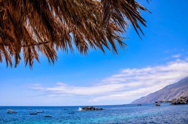 A beach with a palm tree and a blue sky. The palm tree is casting a shadow on the water clipart