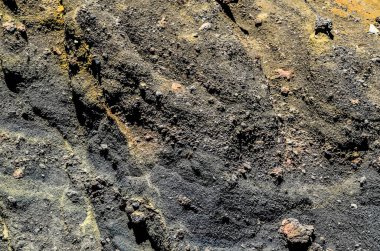 A close up of a rock with a lot of dirt and debris on it. The rock is a dark brown color and has a rough texture. Concept of ruggedness and natural beauty clipart