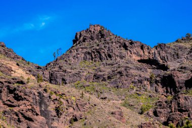 Volcanic Rock Basaltic Formation in Gran Canaria Canary Islands clipart