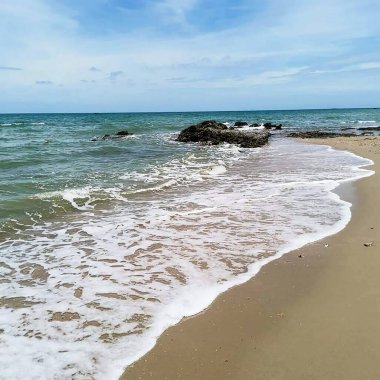 Çiçek içinde beyaz ve pembe desenli çiçekler. Bu güzel yeşil yapraklarla çelişiyor..