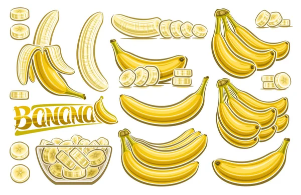 病媒香蕉套件 横向招贴画 大量收藏切下来的插画 鲜活的水果 切碎的香蕉在透明的盘子里 许多品种的香蕉束和黄字香蕉 — 图库矢量图片