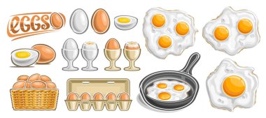 Vector Eggs Set, yatay afiş, çok sayıda kesik çizim içeren yatay afiş fincanda kırılmış yumurtaları fincanda açtı, çeşitli izole edilmiş tavuklu yumurtalar, pişirme tavası ve karton kutu beyaz arka planda.