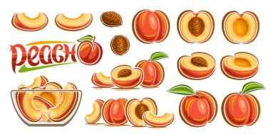Vector Peach Set, horizontal banner with lot collection of cut out illustrations fruit still life composition, sweet chopped peaches in glass plate, group of many variety juicy fruits and word peach