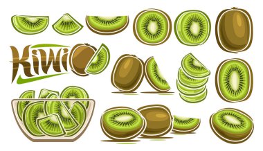 Vector Kiwi Set, banner with lot collection of cut out illustrations fruit still life composition, ripe juicy chopped kiwi fruit with seeds in glass dish, many different tropical fruits and text kiwi