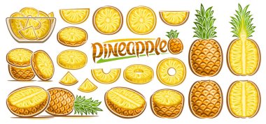 Vector Pineapple Set, lot collection of cut out illustrations fruit still life composition, ripe chopped pineapple fruit with green leaves in glass dish, different tropical fruits and text pineapple