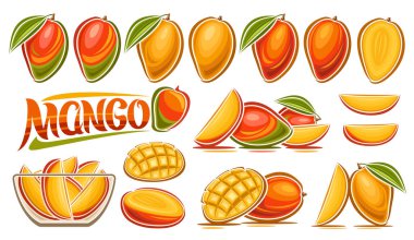 Vector Mango Set, banner with collection of cut out illustrations fruit still life composition with green leaves, ripe juicy chopped mango in glass dish, many different tropical fruits and text mango