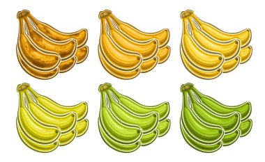 Vektör Banana Bunch Set, beyaz arkaplanda bir sırada farklı kahverengi ve yeşil renkte bütün muz demetlerinin kesilip çizilmiş resimlerini içeren yatay dekoratif afiş