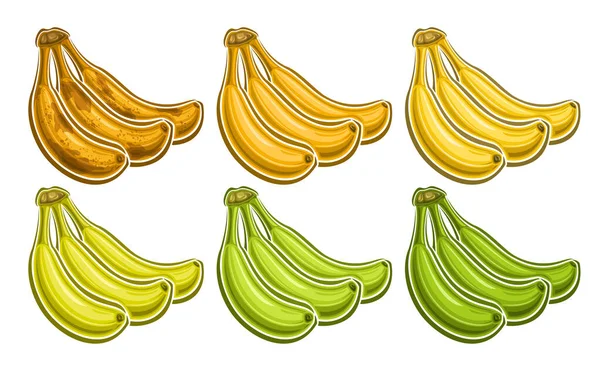 矢量香蕉花束集 装饰水平横幅与批量收集的各种深色条纹和绿色饮食在白底连续香蕉花束的剪裁插图 — 图库矢量图片