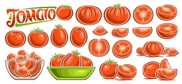 Vector Red Tomato Set Sammlung Von Ausgeschnittenen Cartoon Design Vegetarische — Stockvektor