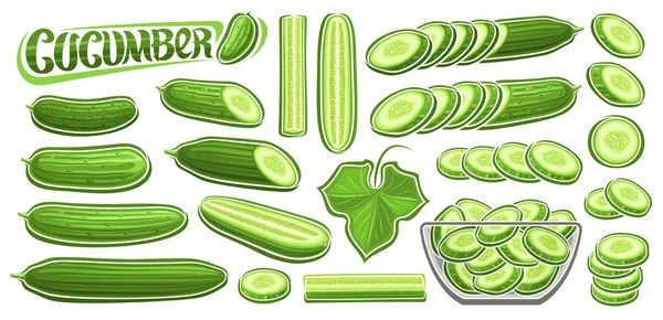 Conjunto Pepino Vectorial Colección Composiciones Bodegones Vegetarianos Diseño Dibujos Animados — Vector de stock