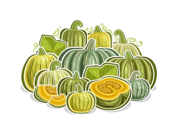 Kabocha için vektör logosu, karikatür tasarımı yeşil balkabağı vejetaryen kompozisyonu ile dekoratif yatay poster, tüm çeşitliliğiyle vegan baskısı ve beyaz arka planda bir parça tatlı turuncu kabocha.