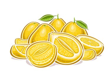 Sarı Pomelo 'lar için vektör logosu, karikatür tasarımı ile dekoratif yatay poster meyveli pomelo natürmort yaşam kompozisyonu, bütün ve doğranmış yeşil yapraklı sulu pomelo parçaları.