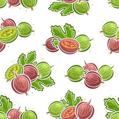 Vektör Bektaşi üzümü deseni, bektaşi üzümü çizimi ile arka planda tekrarlanan ambalaj kağıdı için yaşam bileşimi, ev içi için bektaşi üzümü tohumu koleksiyonu