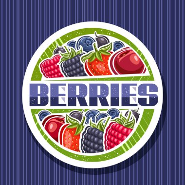 Böğürtlenler için vektör logosu, beyaz dekoratif tabela üzerinde çeşitli kırmızı orman böğürtlenleri çizimi ve mavi çizgili arka planda metin çilekleri için eşsiz fırça harfleri.