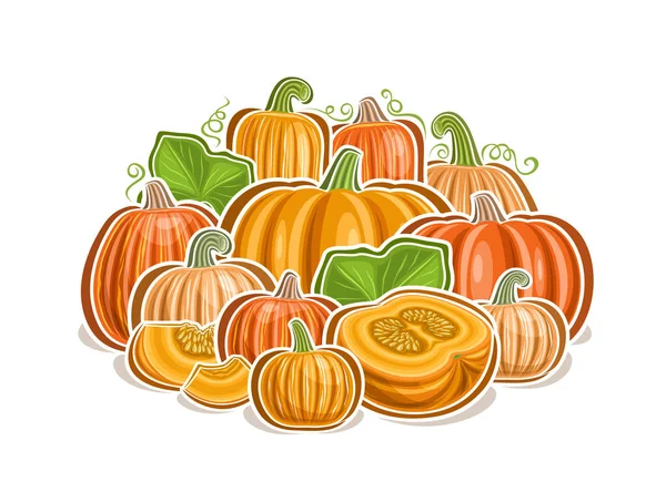 Vector Logo Pumpkins Decorative Horizontal Poster Cartoon Design Yellow Pumpkin — Stock Vector