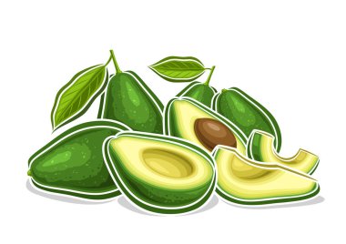 Avokado için vektör logosu, yapraklı yeşil avokado kompozisyonu çizili dekoratif yatay poster, beyaz arka planda birçok doğranmış avokado ile karikatür tasarımı vejetaryen baskısı